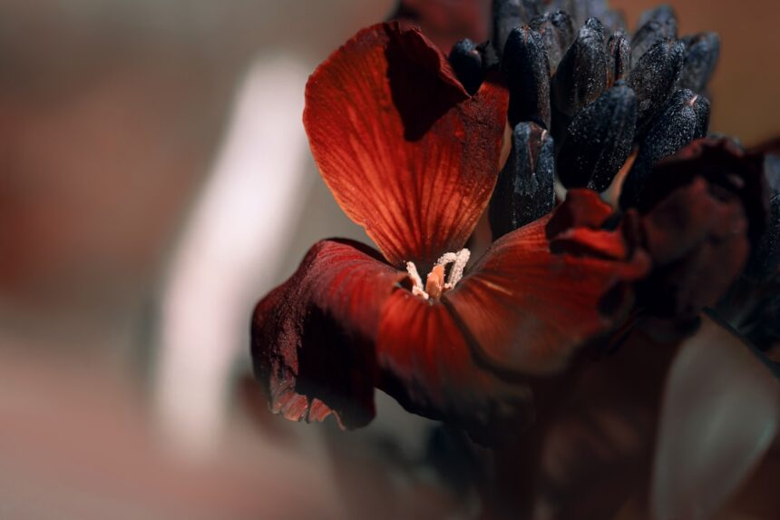 Photo depth perception