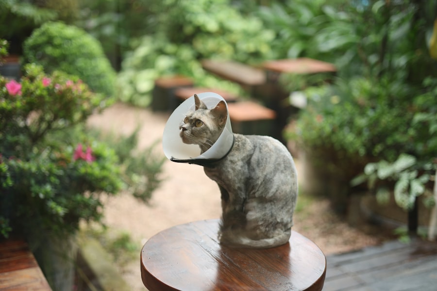 Photo reclaim sensitivity