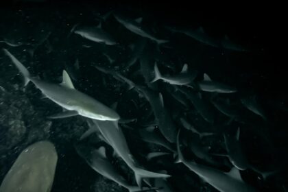 Photo dark night of the soul