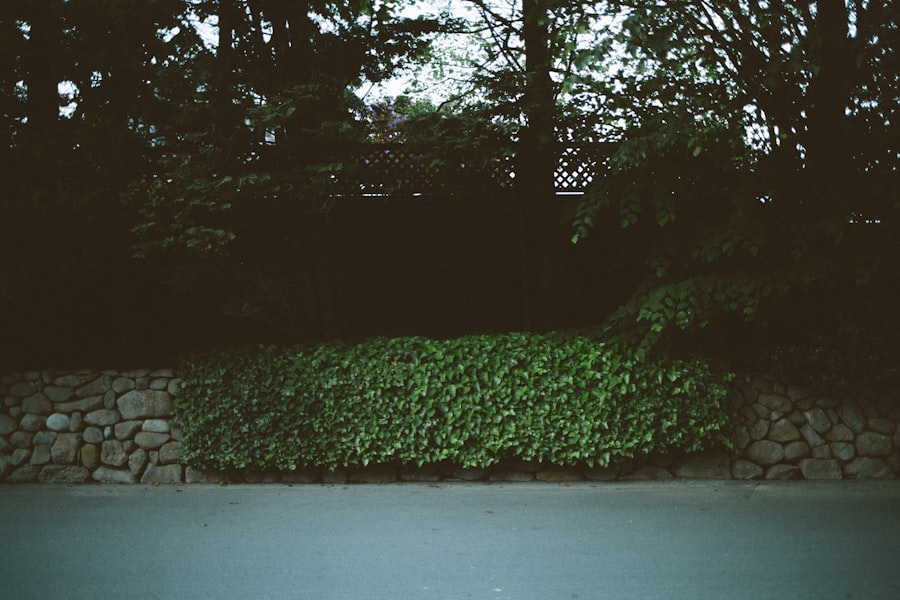Photo stop hedging