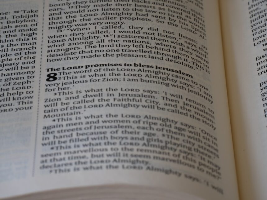 Photo recognize fawn language