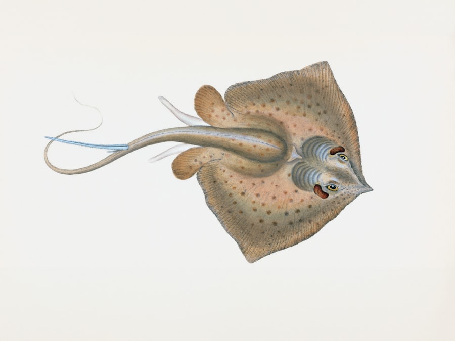 Photo vagus nerve stimulation