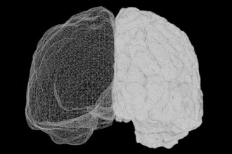 Photo Neuroplasticity