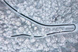 Photo dorsal vagal freeze