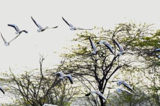 Photo behavior change