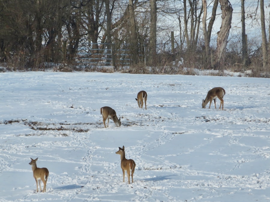 Photo behavior change