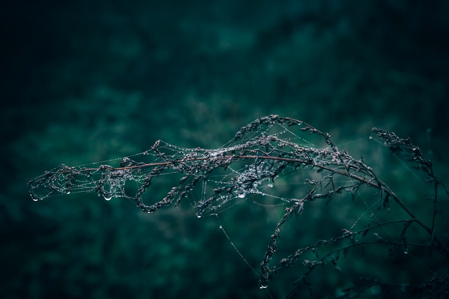 Photo sensing and connecting