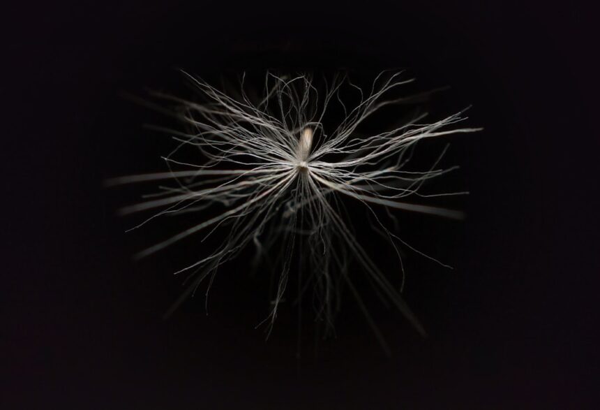 Photo nervous system regulation