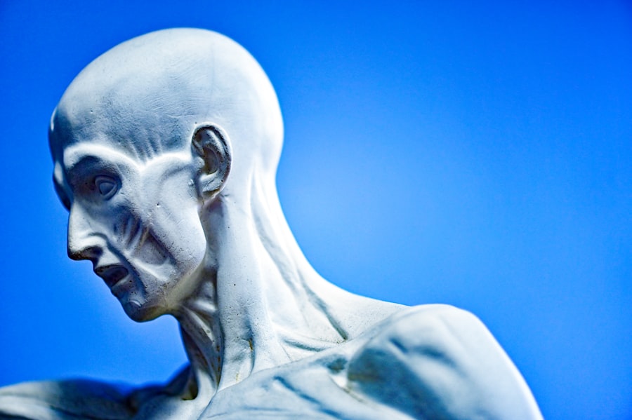 Photo nervous system regulation