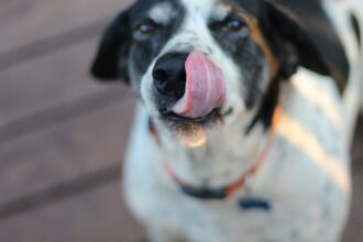 Photo tongue position