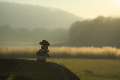 Photo values integration