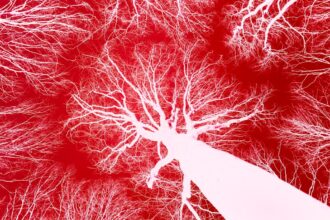 Photo nervous system trauma