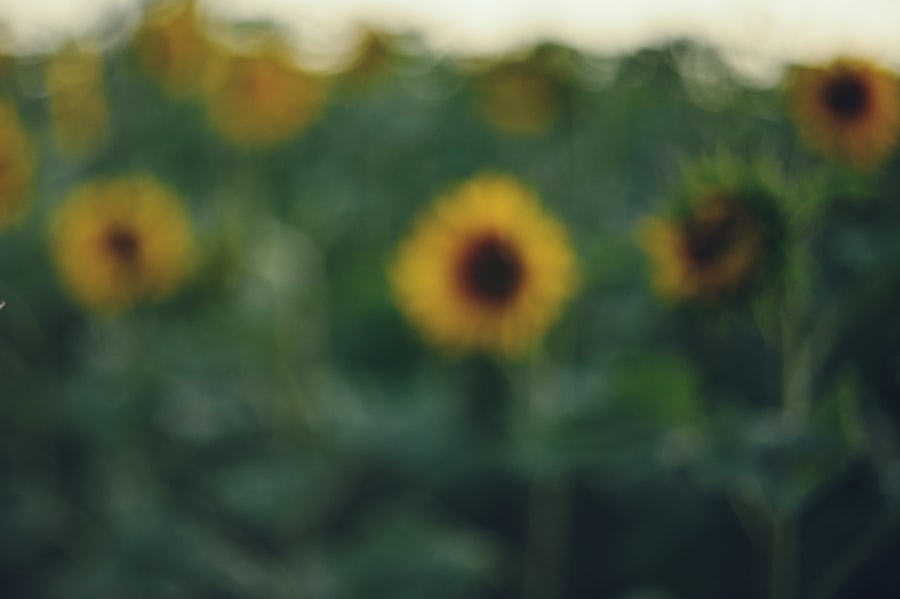 Photo trauma recovery