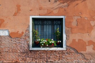 Photo widen the window of tolerance