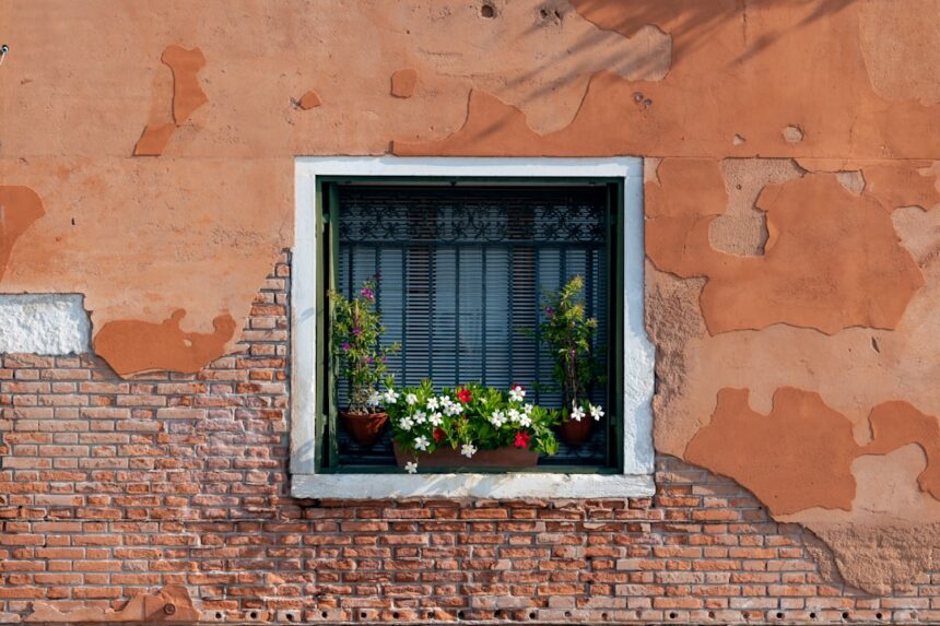 Photo widen the window of tolerance