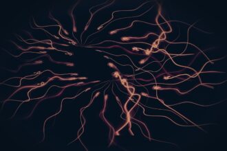 Photo regulate nervous system