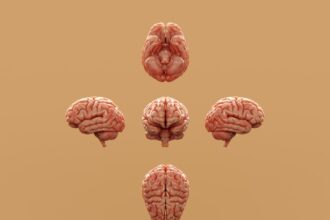 Photo neuroplasticity