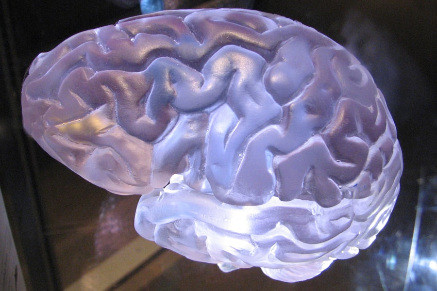 Photo neuroplasticity