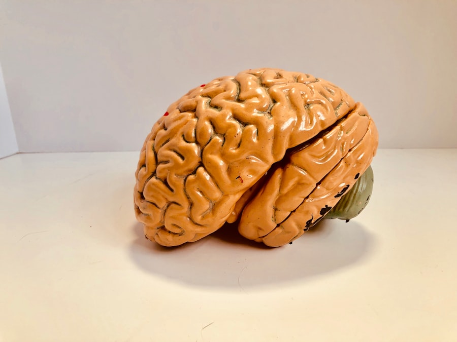 Photo neurological empathy gap