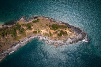 Photo anterior insula