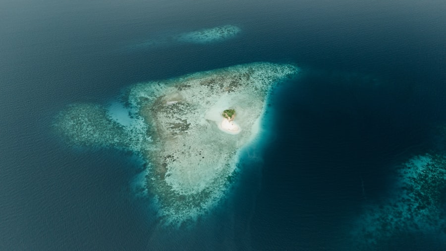 Photo anterior insula