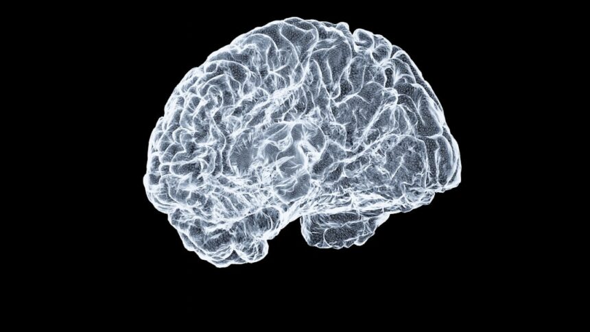 Photo neuroplasticity exercises