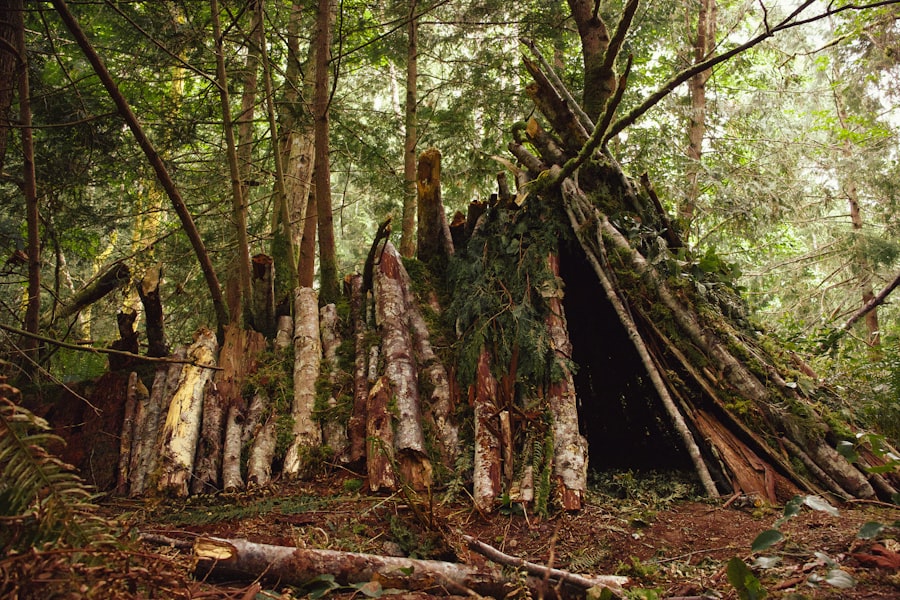 Photo survival