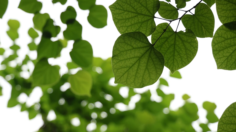 environment, nervous system, focus