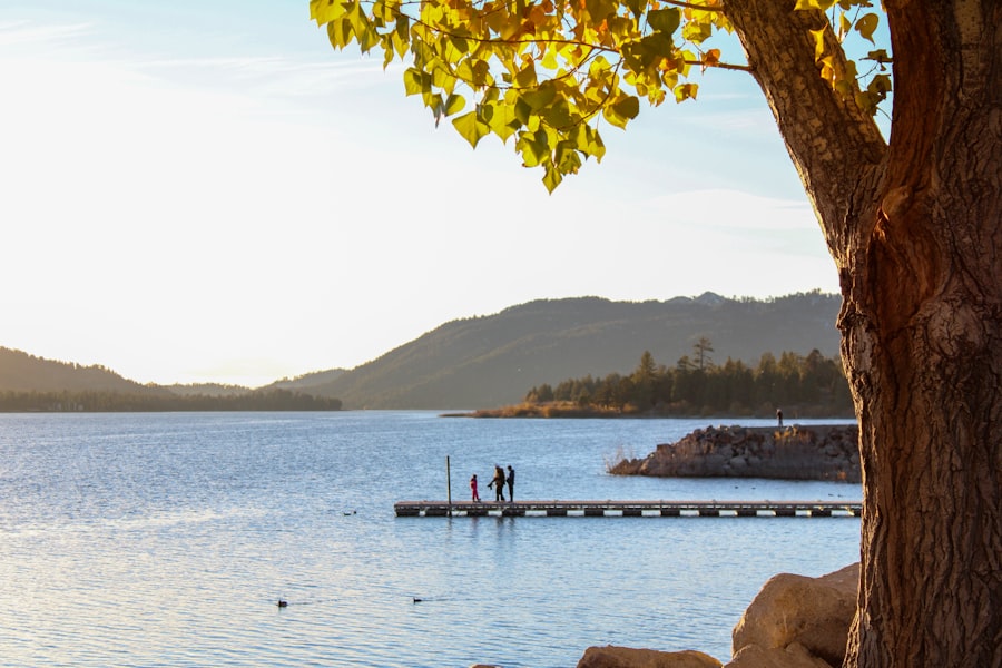 speak language fallen