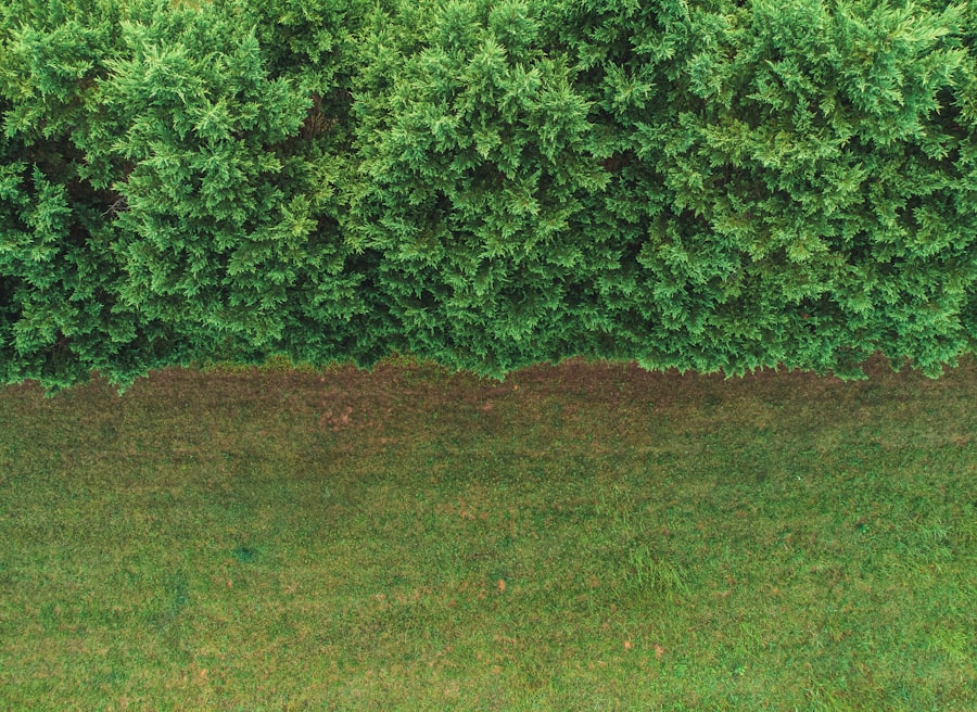 boundaries