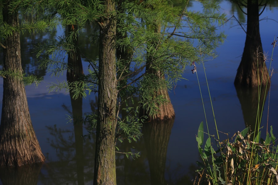 protect peace