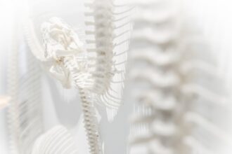 Photo nervous system healing