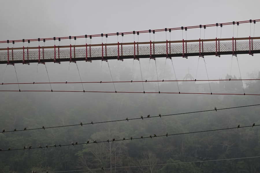 Photo high tensile bridge