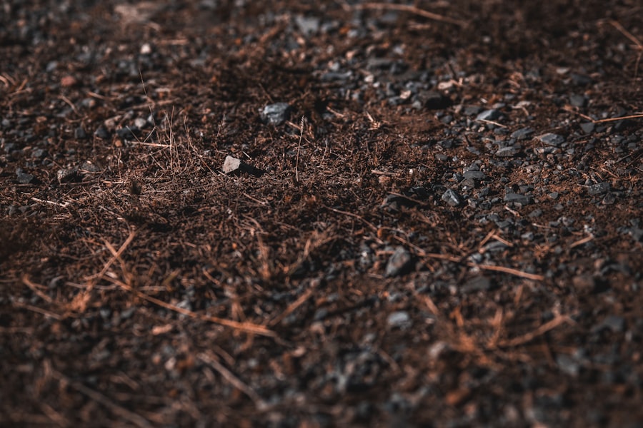 Photo charred soil