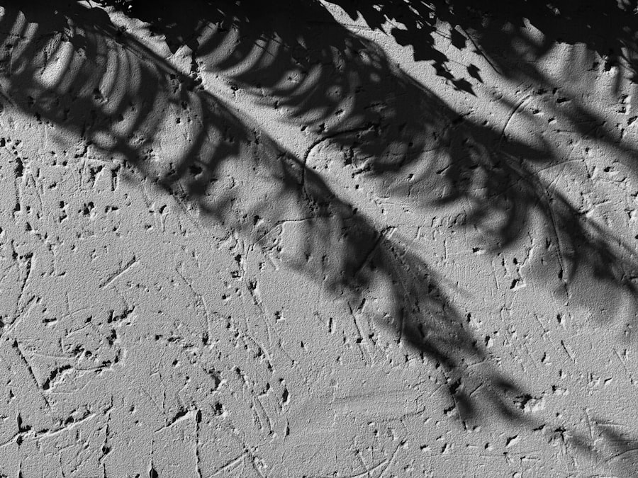 Photo integrate shadow
