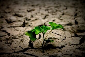 Photo post traumatic growth