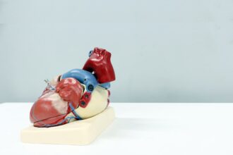 Photo neurobiology, guarded heart