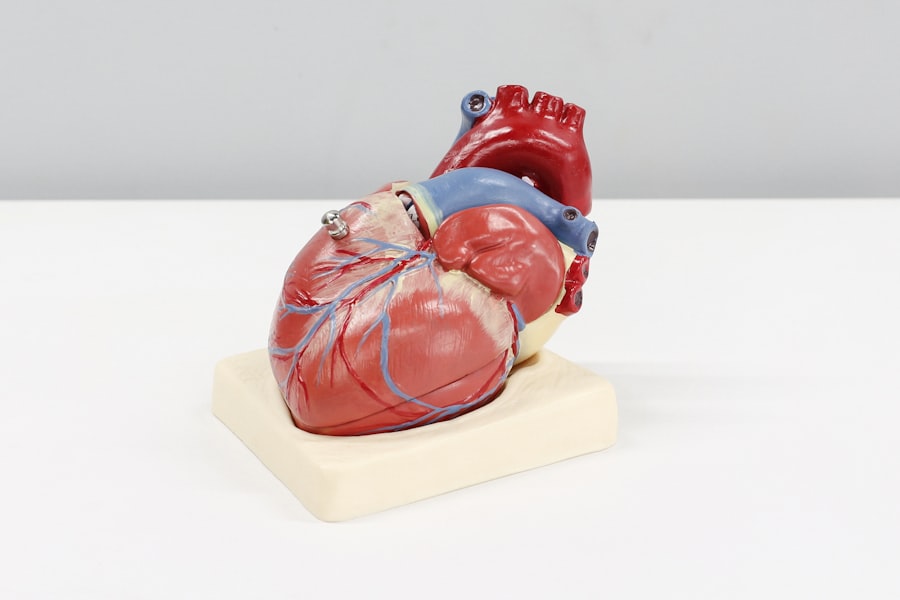 Photo neurobiology, guarded heart
