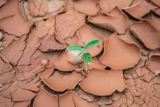 Photo traumatic growth