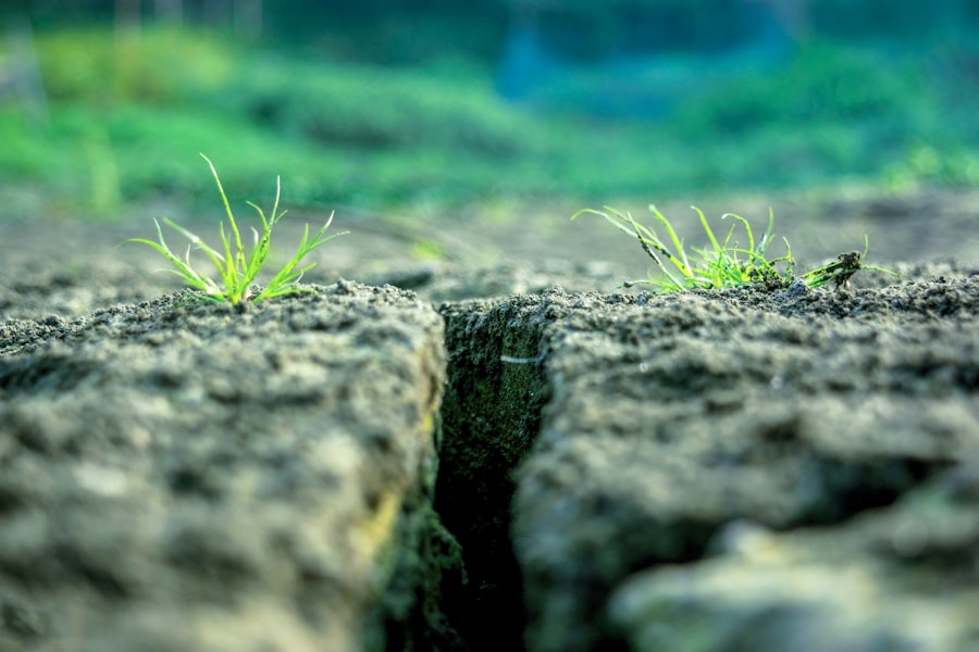 Photo traumatic growth
