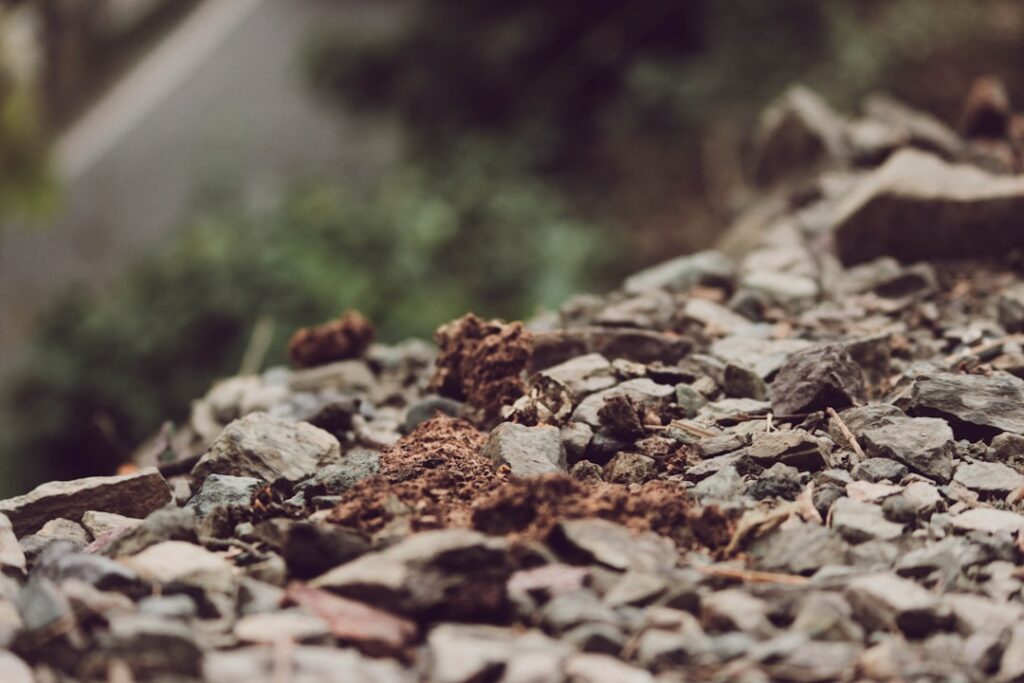 Building Grit: Graduated Risk for Resilience