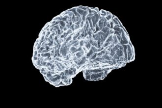 Photo power activates brain approach system