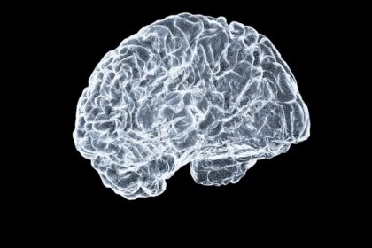 Photo power activates brain approach system