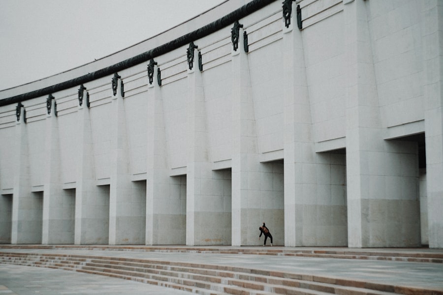 Photo jungian persona architecture