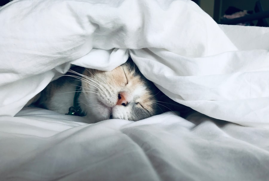 lazy