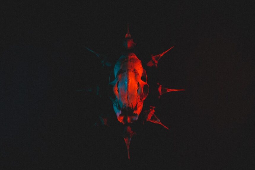 Photo fear of the unknown
