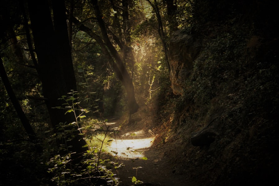 Photo stillness