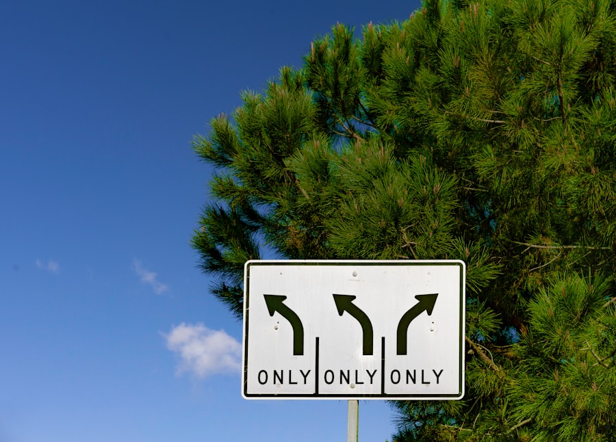 decision paralysis