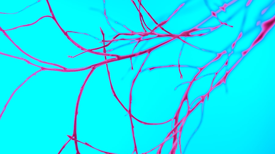 nervous system relax
