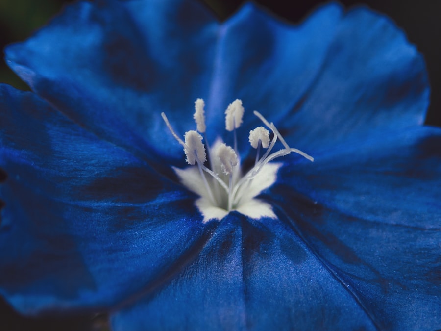 vulnerability
